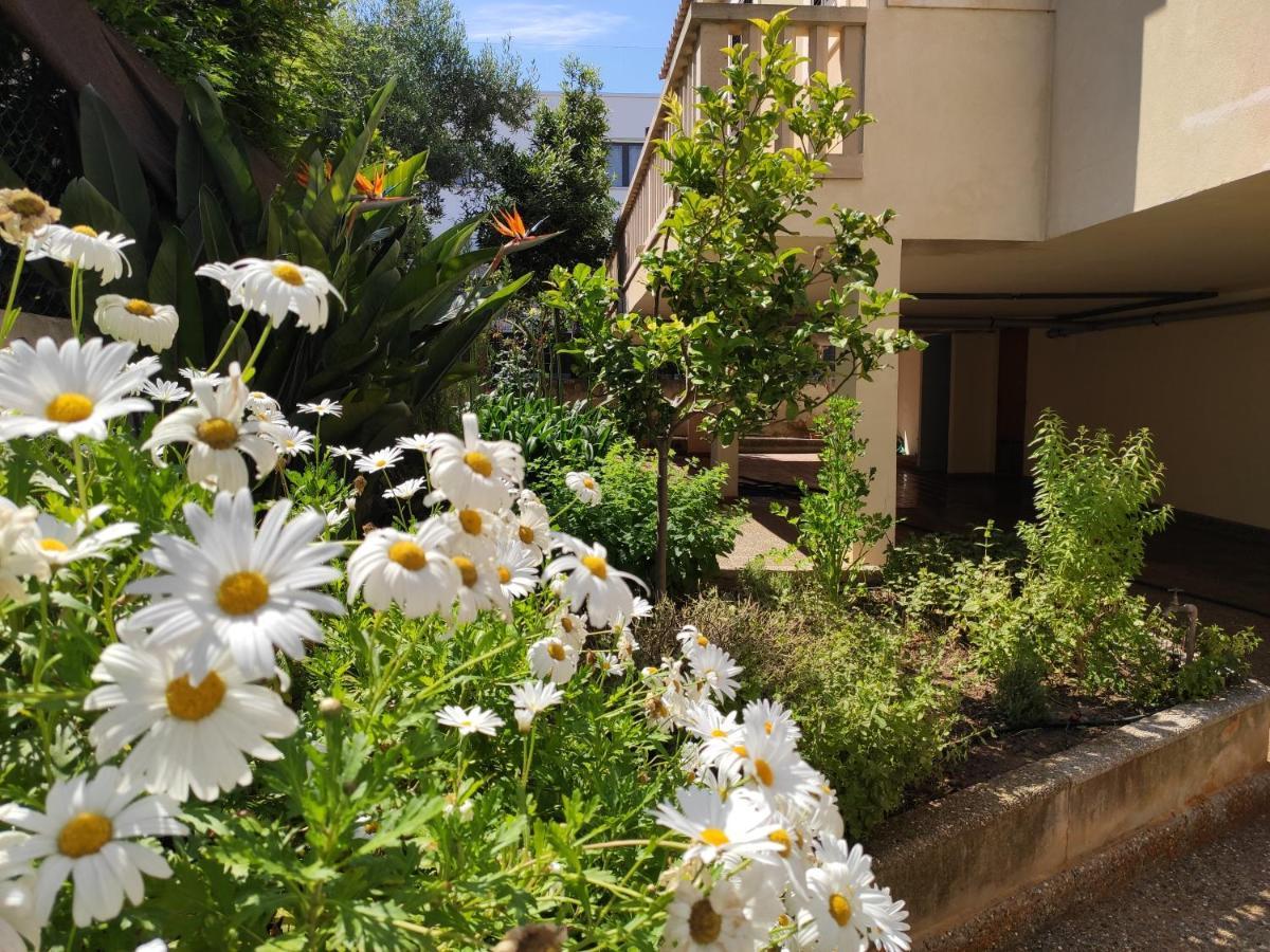 Es Ganxo House Ferienhaus *